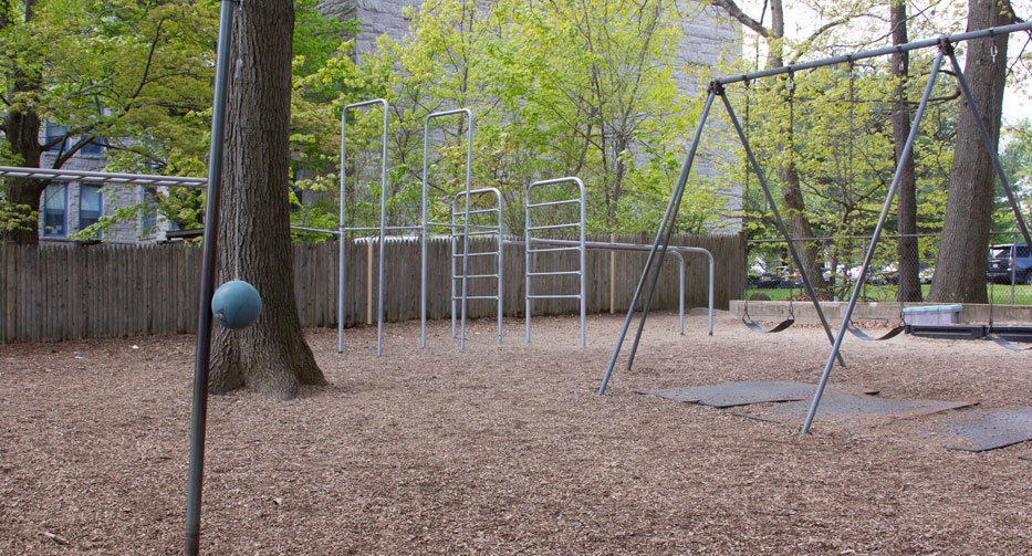 Swingset and jungle gym